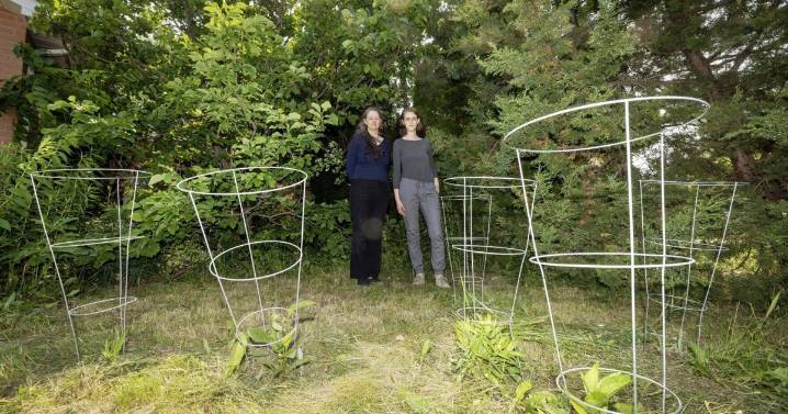 City to redefine what you can do with your garden