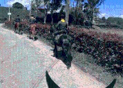 Policía refuerza seguridad rural en Boyacá con unidades de Carabineros