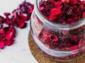 Cuáles son las propiedades curativas de la flor de Jamaica