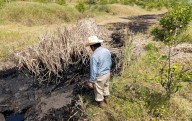 El ‘huachicol’ y las nuevas palabras del diccionario de México