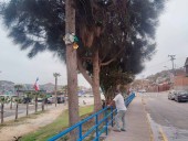 Vecinos que viven al lado de la Pampilla esperan riñas, «ebrios» y autos chocadores