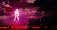 Burning Man horror as police issue major update over man found dead at festival