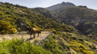 Cuatro zonas de Castilla y León marcan esta madrugada las temperaturas más bajas de España