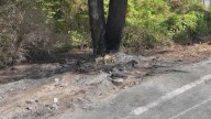 Neighbor recalled trying to save car crash victims in Schoharie