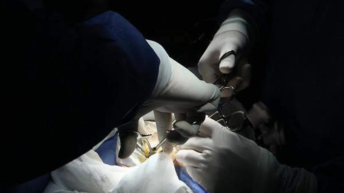Donación de médula ósea y sangre de cordón umbilical puede salvar vidas: Secretaría de Salud