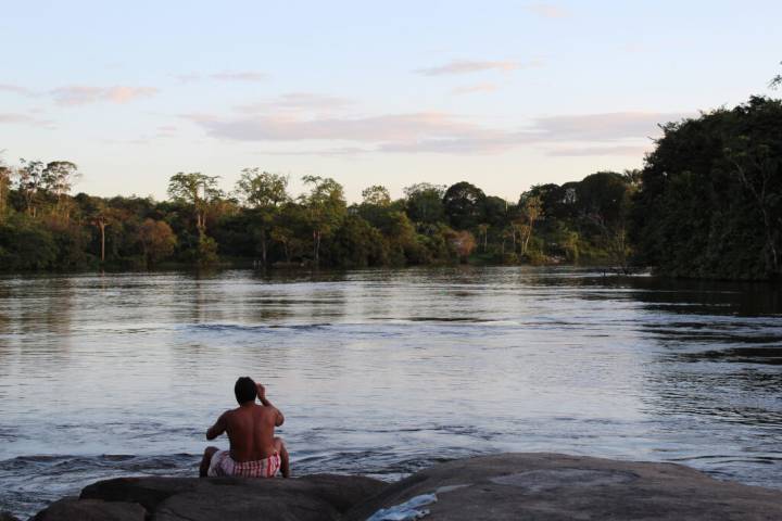 Deforestation Threatens Public Health. Securing Indigenous Land Rights Can Help, Researchers Find