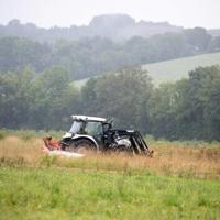 How mowing less lets flowers bloom along Austria's 'Green Belt'