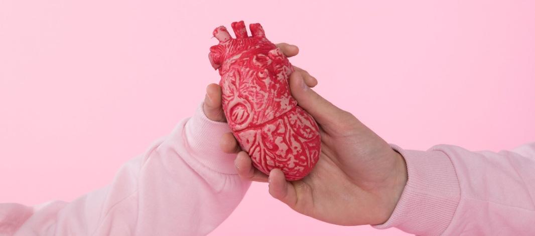 Día del Corazón: la prevención cardiovascular, un desafío global impulsado por la ciencia