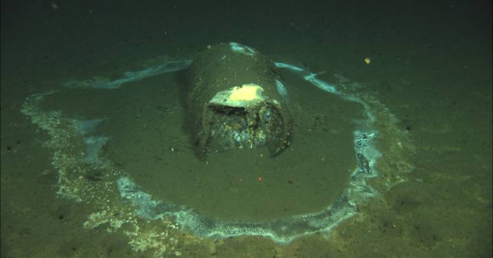 Waste dumped off SoCal coast has drastically altered life on the sea floor, study finds