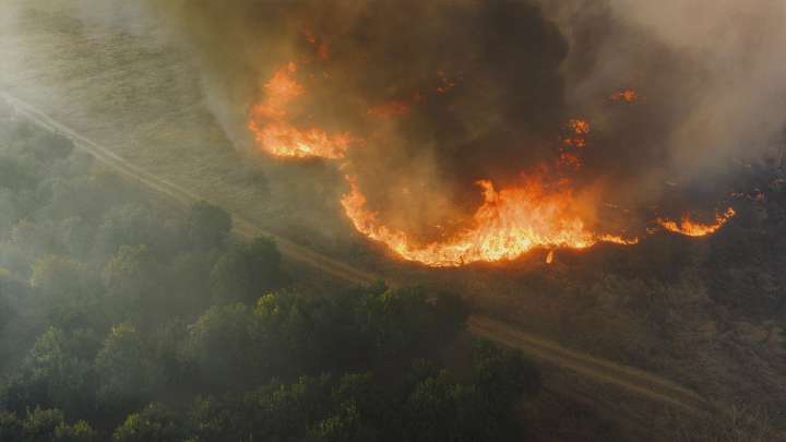 Los científicos piden restaurar los patrones naturales de los incendios para evitar la destrucción de los ecosistemas