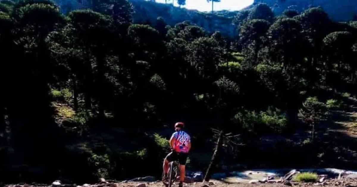 Cicloturismo y trekking en Pino Hachado: descubrí paisajes soñados Neuquén con esta propuesta innovadora