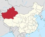 Rights advocates demand UN press China on abuses in Xinjiang
