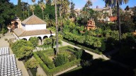 El Ministerio de Sanidad confirma un nuevo foco de gripe aviar en Sevilla