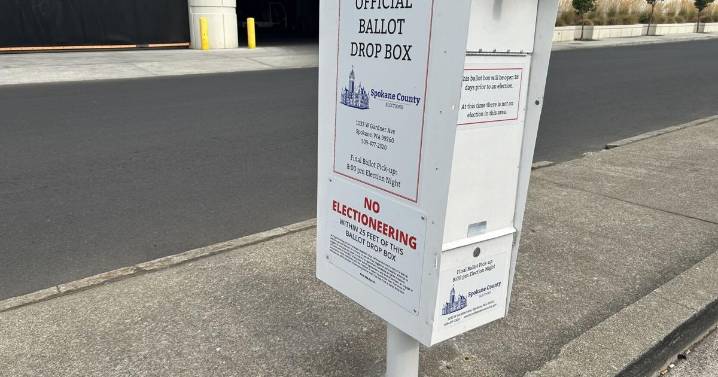 How to make sure your ballot is counted in the November election