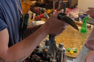 TikTok-famous toucan gets rescued by Arlington Co. firefighters
