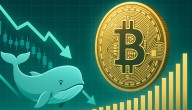 Bitcoin Whale Supply Falls To 3.52M BTC