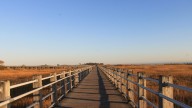 CT officials look to make state parks a tourism destination
