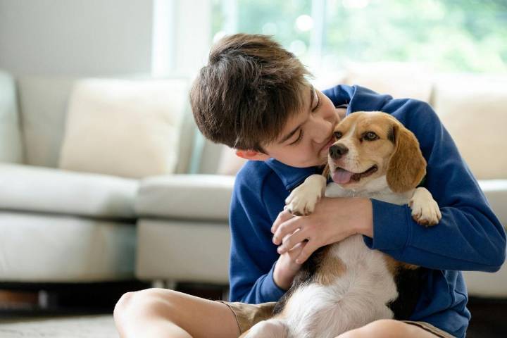 Here are the Most Popular Pet Names In Washington