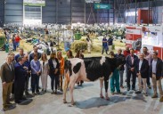 De un chigre sidrero a los clásicos certámenes ganaderos: Agropec, la fiesta del campo, vuelve a Gijón