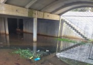 El barrio de El Pilar en Lada «lleva años lleno de ratas y agua estancada»