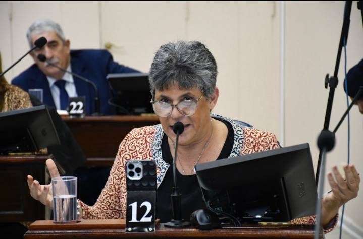 “No nos pueden obligar a jurar una nueva Constitución que vulnera derechos de los formoseños”, afirmó Neme