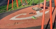 'Disgusting and upsetting': vandal smears dog poo on playground swing in Gloucester