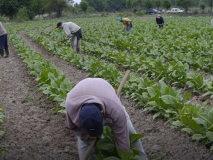 Condenan a una pareja de finqueros a penas de hasta 10 años de prisión por explotación laboral y reducción a la servidumbre