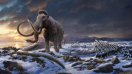 Mamut revela el ADN microbiano más antiguo jamás hallado