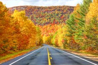 6 Regions Where Fall Foliage Will Peak This Month