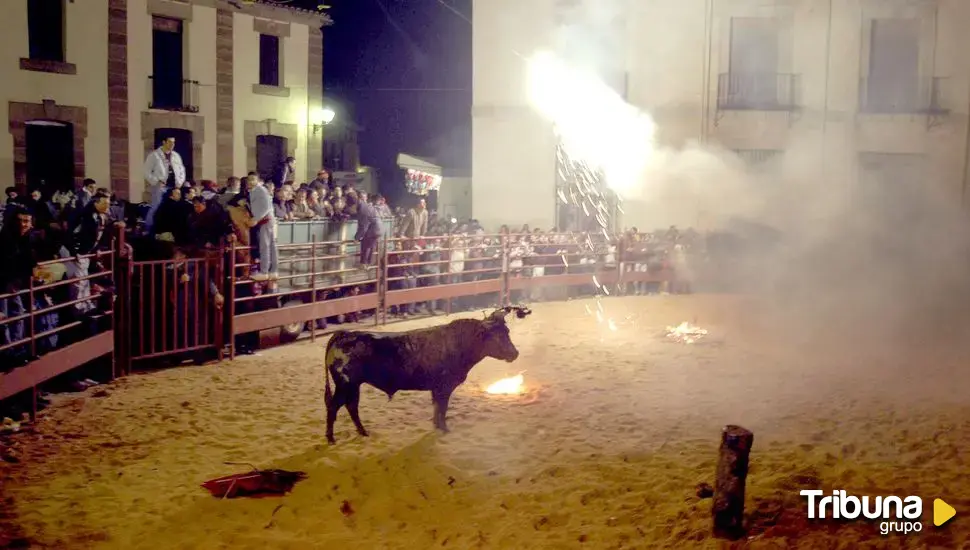 El TSJ levanta la suspensión y abre la puerta a la celebración del Toro Jubilo de Medinaceli