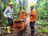 En Guaviare se inaugura cable para transportar madera