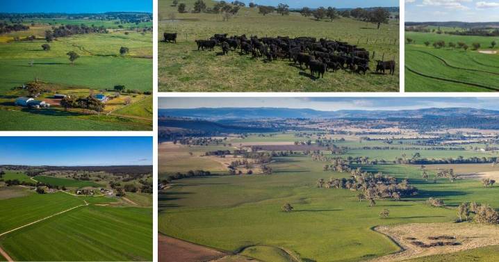 All the latest sales and listings on the NSW property market