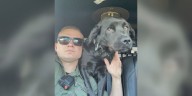 Lincoln County K-9 forced into retirement after cancer diagnosis