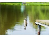 Fishing derby for persons with disabilities, special needs comes to N.J. park