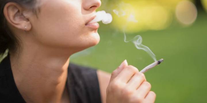 Estudio alerta sobre posibles riesgos de la marihuana en la fertilidad femenina