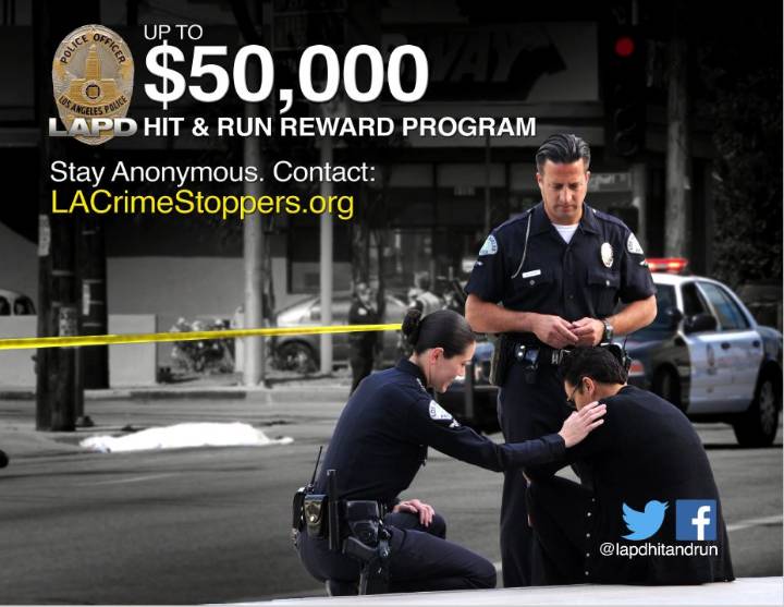 LAPD offers $50k reward to identify driver who killed a pedestrian in Venice