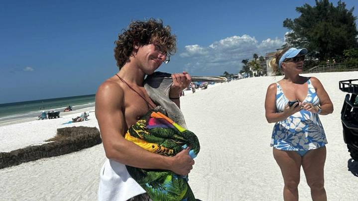 Manatee County lifeguard Owen Munday rescues injured pelican