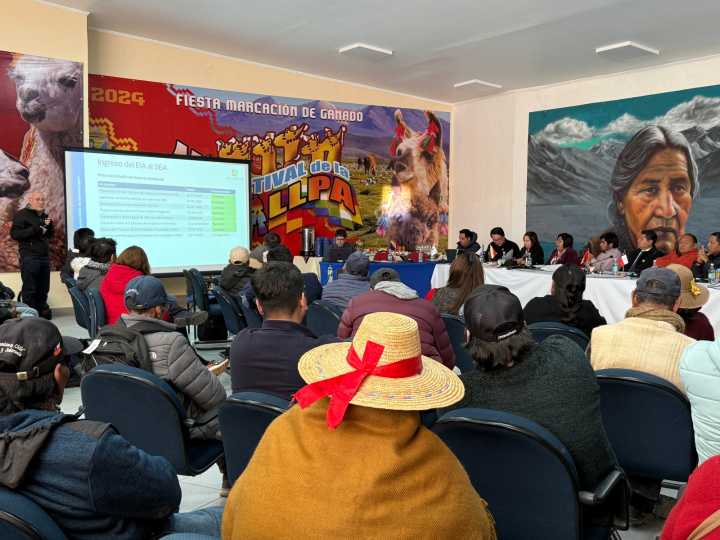 Tras 9 años de espera: General Lagos tendrá electricidad 24/7 desde 2026