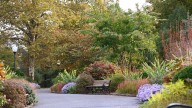 Free entry to 3 Long Island state parks this weekend during inaugural 'One Day 3 Parks' event