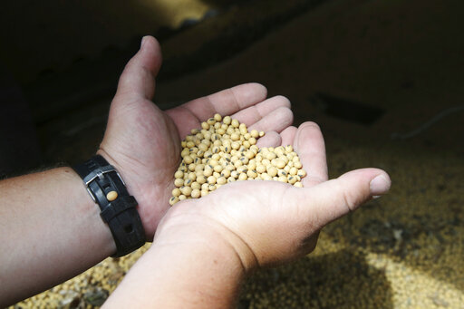 Kansas Soybean Commission concerned about farm bankruptices