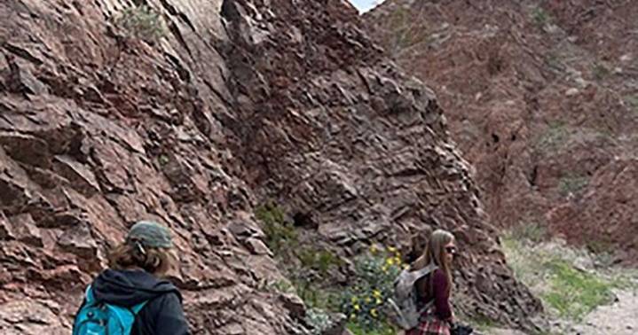 Adventure Awaits | Hidden treasure of Homestead Mine