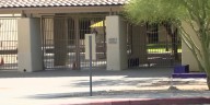 Bear runs into Oro Valley grocery store