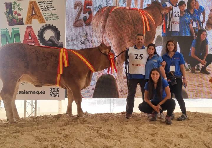 Vela pone a Cantabria en la élite de la raza limusín con su triunfo en Salamanca