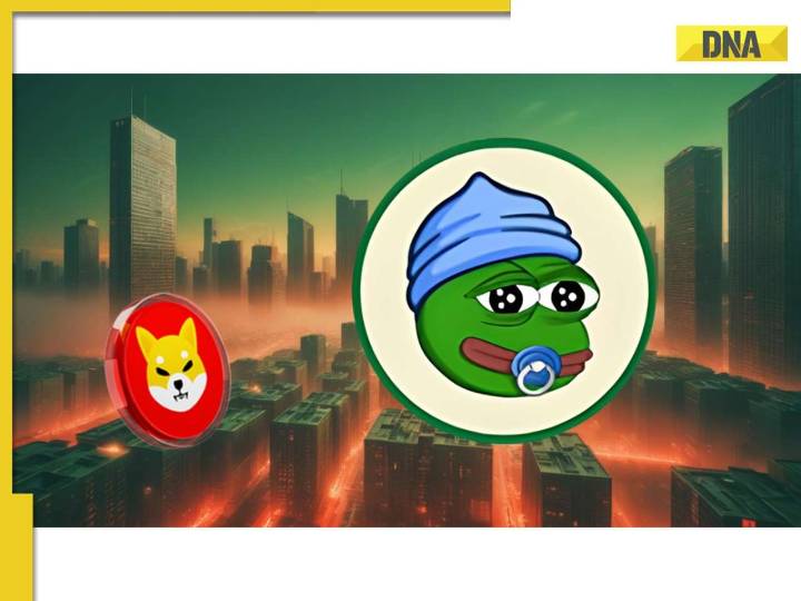 SHIB vs. LILPEPE: The New Meme Coin Race
