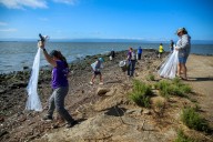 How you could win $1,000 this Saturday by picking up litter at the beach