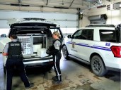 Leopard gecko, 83 snakes among animals rescued from Edmonton home