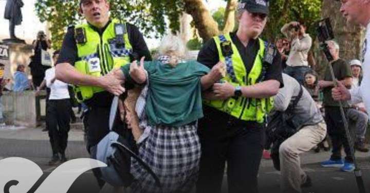 Policía de Londres detiene a 425 personas por apoyo a Palestina