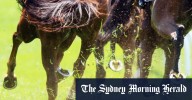 Nowra races on Sunday: Trainer Keith Dryden looks to the future with Sweet Warrior