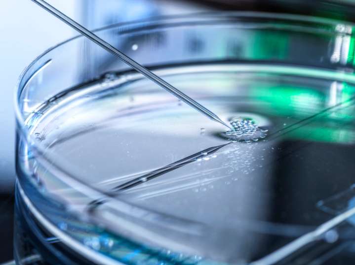 New Swedish centre aims to accelerate advanced medical therapy delivery