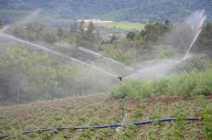 Gobierno anuncia más de 100 millones de dólares en proyectos de agua y riego para Tarija